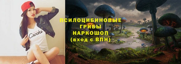 гидра Аркадак