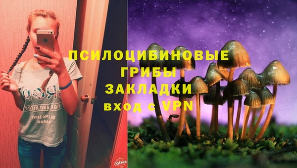 герыч Алексеевка